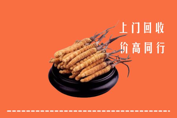 高价求购：红河州红河县回收散虫草