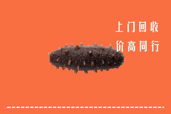 高价求购：红河州红河县回收海参