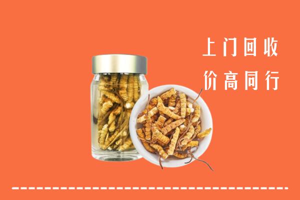 红河州红河县回收冬虫夏草