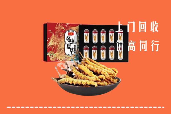 红河州红河县回收虫草